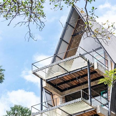 אלה Wild Bee Hostel מראה חיצוני תמונה