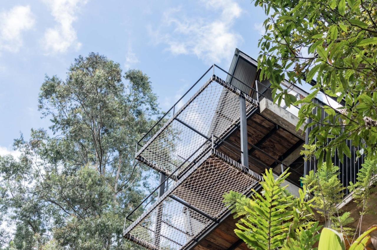 אלה Wild Bee Hostel מראה חיצוני תמונה