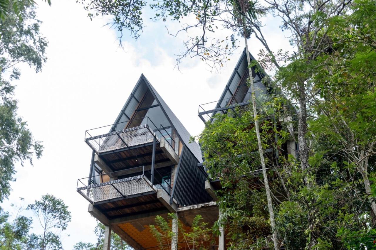 אלה Wild Bee Hostel מראה חיצוני תמונה