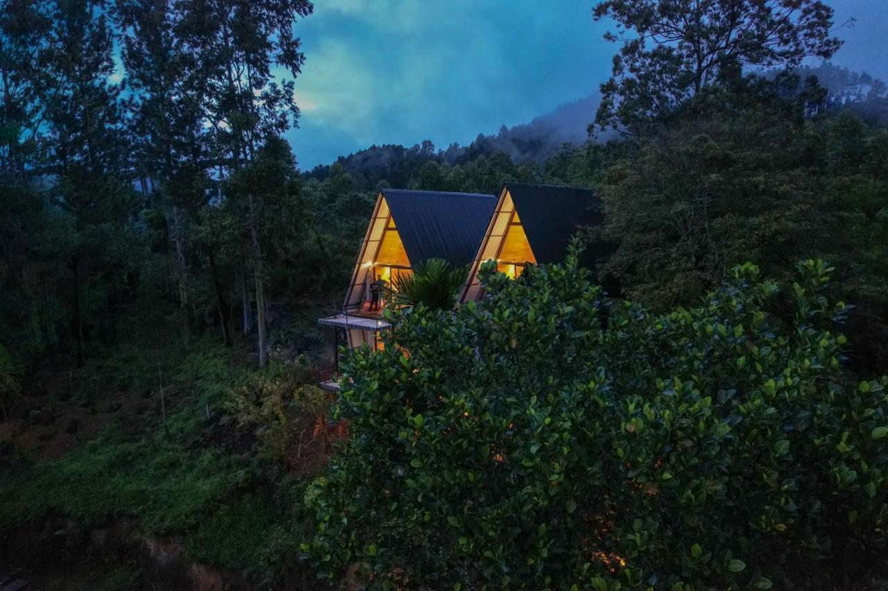 אלה Wild Bee Hostel מראה חיצוני תמונה
