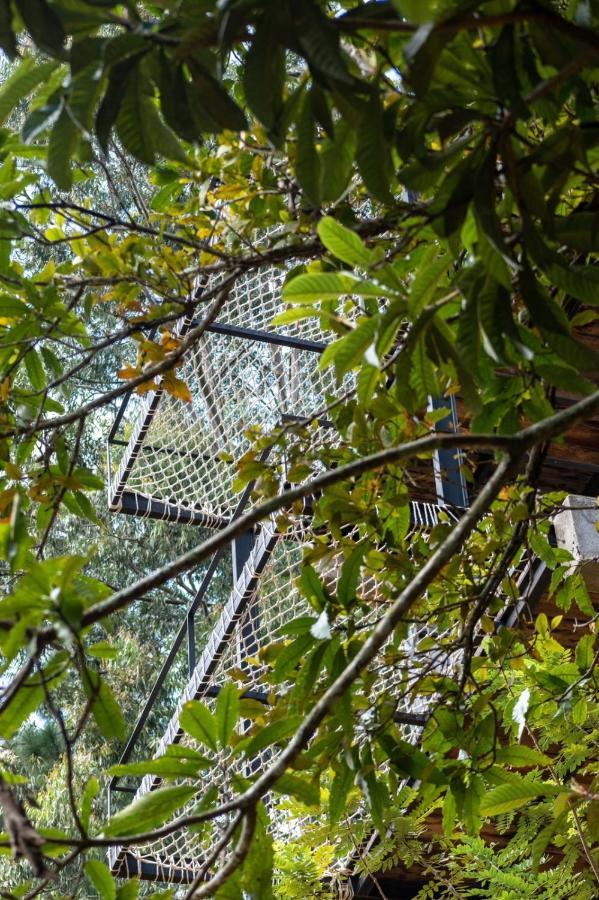 אלה Wild Bee Hostel מראה חיצוני תמונה