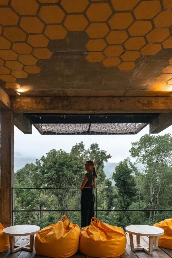 אלה Wild Bee Hostel מראה חיצוני תמונה